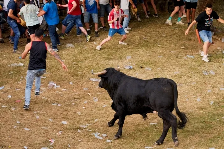 Valonsadero y el Lavalenguas seg&uacute;n Cirilo Vargas