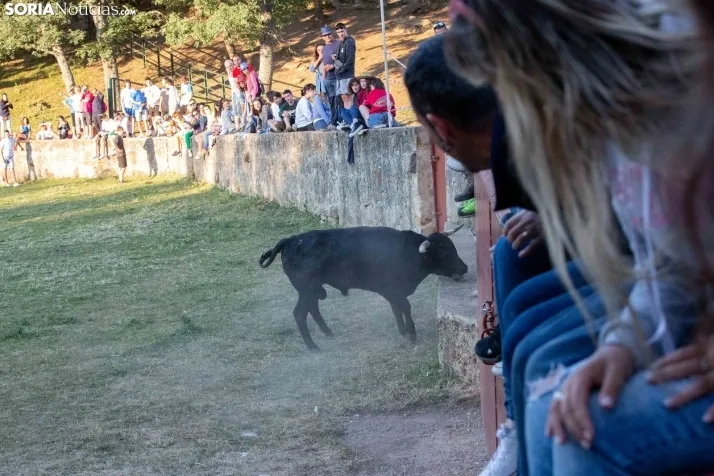 Lavalengüillas 2022 / Maria Ferrer