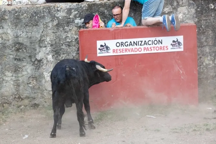 Lavalengüillas 2022 / Maria Ferrer