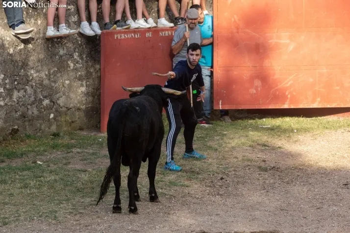 Lavalengüillas 2022 / Maria Ferrer