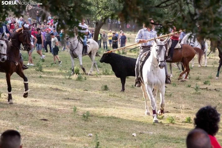 Lavalengüillas 2022 / Maria Ferrer