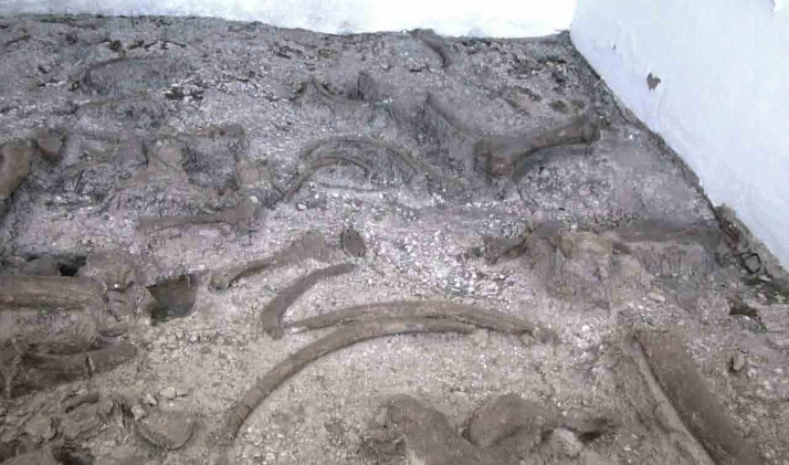 Piden partidas para la investigación en Torralba y Ambrona