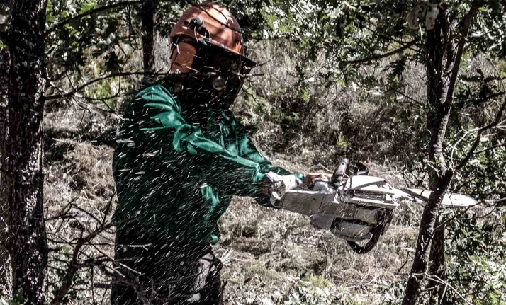 La provincia de Soria recibirá 330.000 &euro; de la Junta para la creación de empleo mediante de trabajos forestales