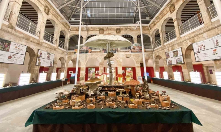 El Primavera Setera Tour incrementa el número de turistas en la provincia de Soria 