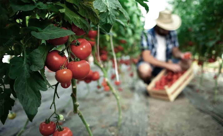La Junta se reúne con los subsectores de la industria agroalimentaria de Castilla y León para escuchar las necesidades empresariales del sector