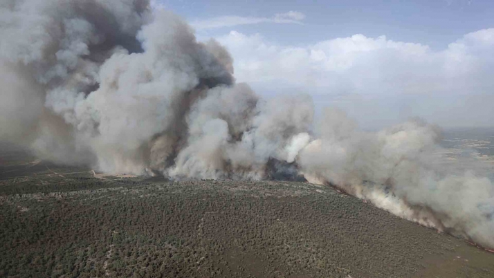Habilitadas ayudas de urgencia para empresas y negocios afectados por el incendio de la Sierra de la Culebra