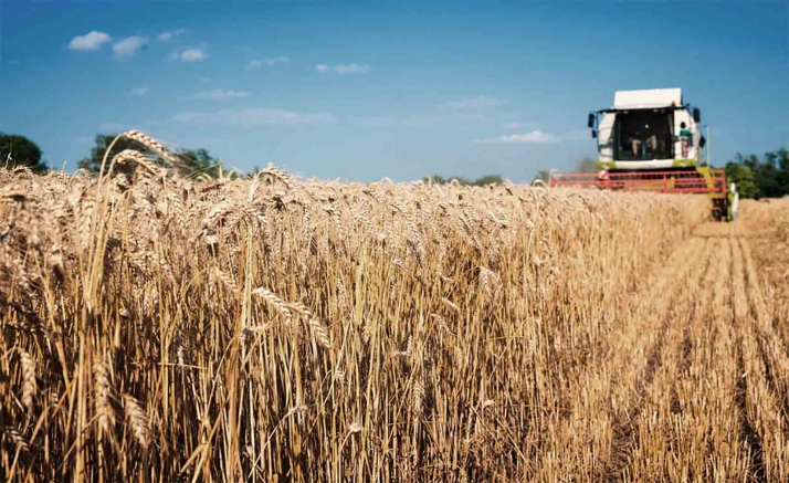 Castilla y León continúa destacando en la ejecución de las medidas del Programa de Desarrollo Rural 2014-2022