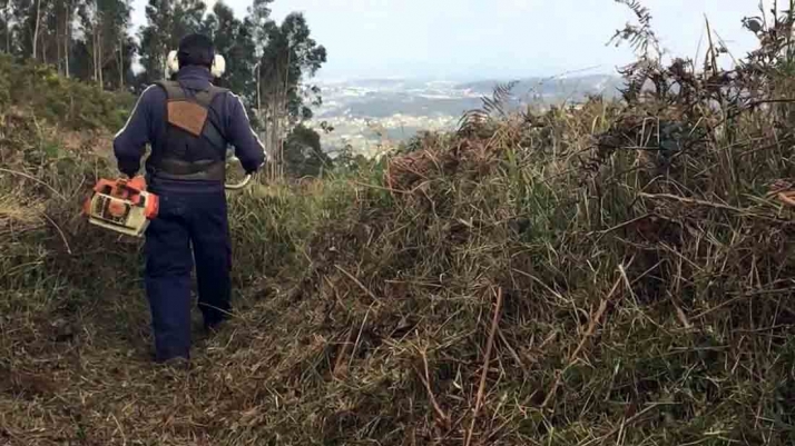 Casi 1M€ en trabajos silvícolas y otras mejoras del medio natural en las zonas de Navaleno y Soria
