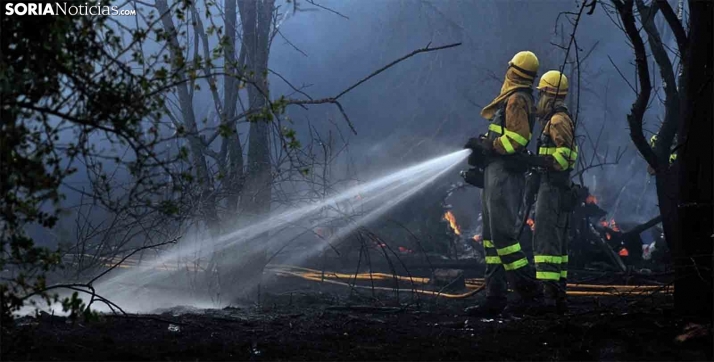 Declarado peligro alto de incendios forestales en toda la Comunidad a partir de hoy, 27 de junio