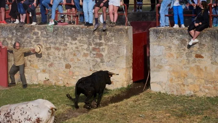 Valonsadero y el Lavalenguas seg&uacute;n Cirilo Vargas