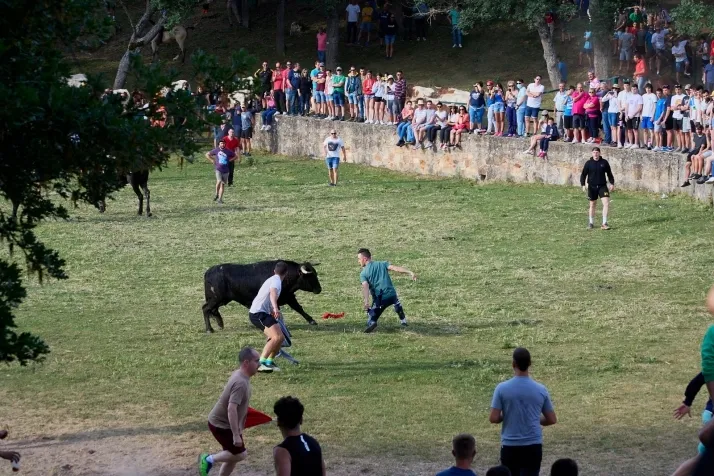 Valonsadero y el Lavalenguas seg&uacute;n Cirilo Vargas