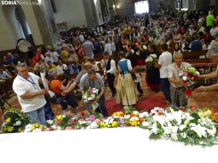 GALER&Iacute;A | R&iacute;o de flores en &Aacute;greda por Los Milagros
