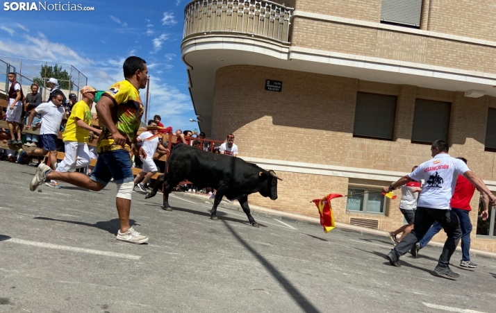 Uno de los novillos entrando en la Chata. /María Ferrer