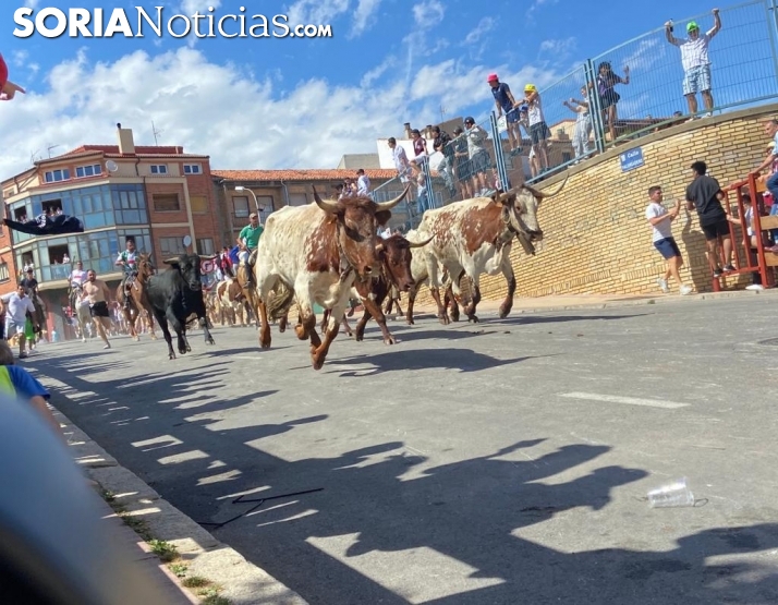 Crónica de La Saca 2022: 8 novillos, que saben a 12, tras dos años de espera