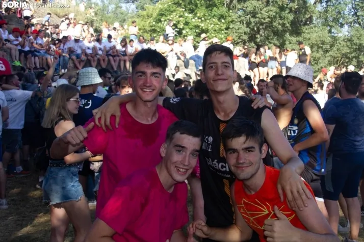 Suelta novillos Compra 2022