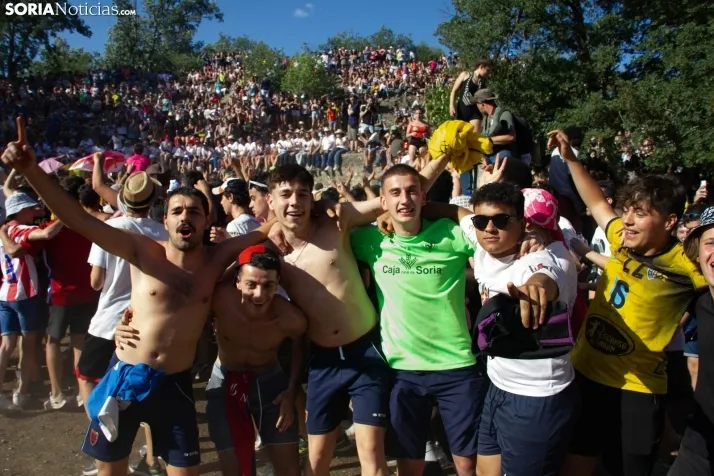 Suelta novillos Compra 2022