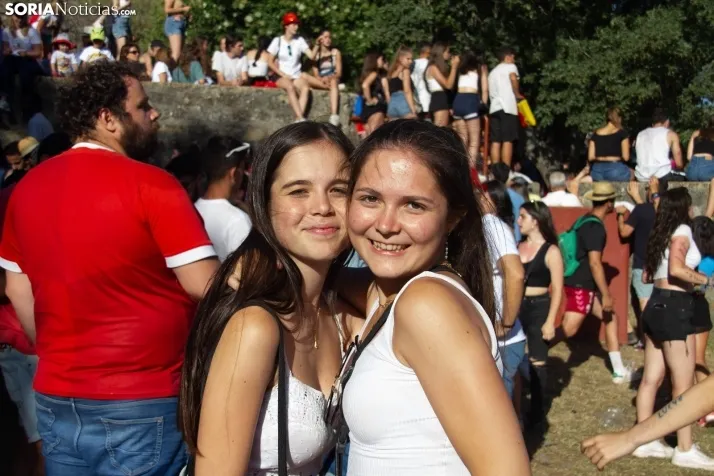 Suelta novillos Compra 2022