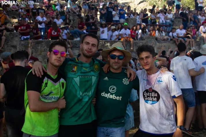 Suelta novillos Compra 2022