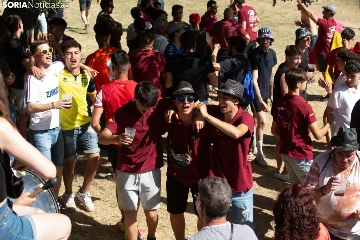 Suelta novillos Compra 2022