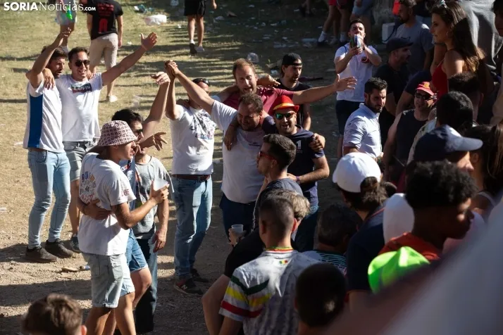 Suelta novillos Compra 2022