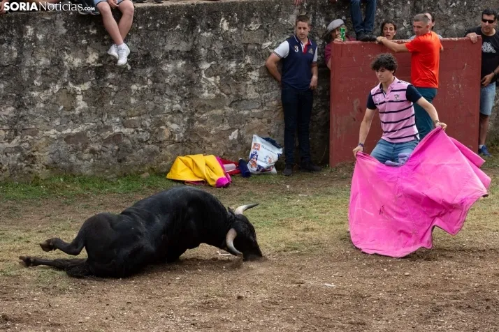 Lavalenguas 2022 / María 