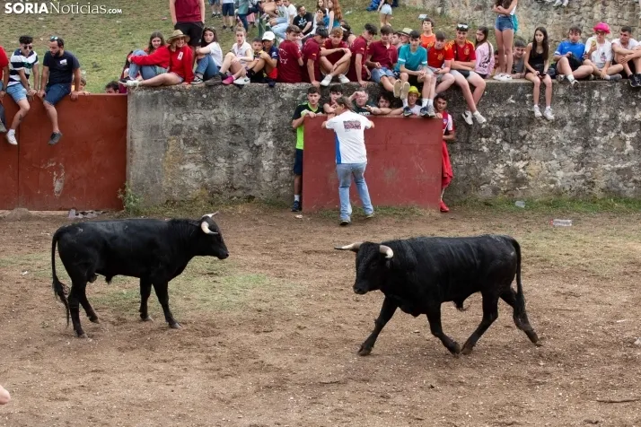 Lavalenguas 2022 / María 
