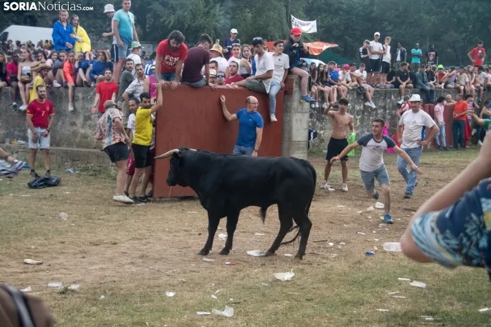 Lavalenguas 2022 / María 