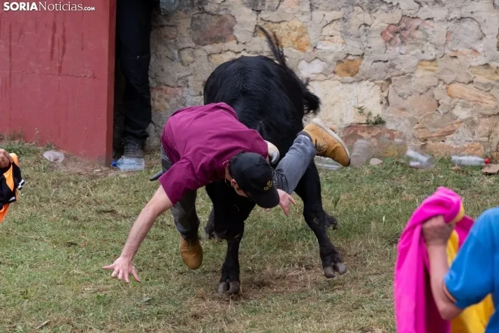 Lavalenguas 2022 / María 