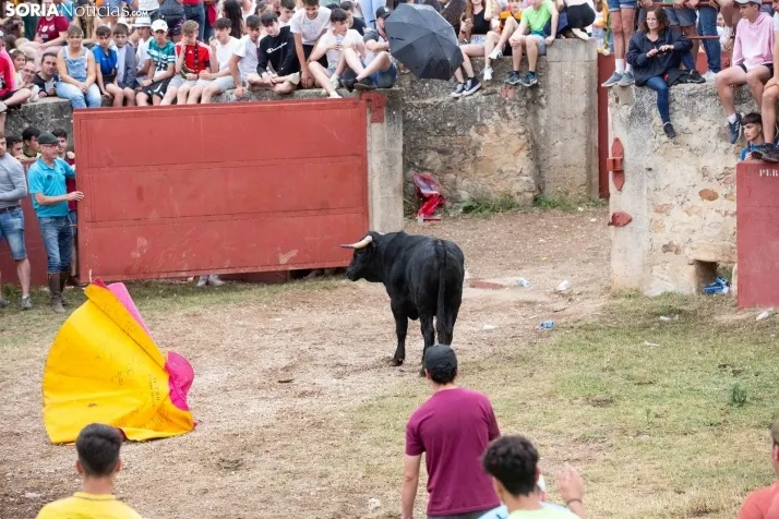 Lavalenguas 2022 / María 