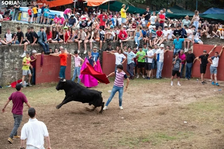 Lavalenguas 2022 / María 