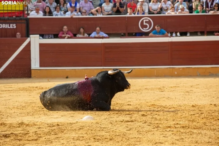 Festejo de rejones de San Juan 2022
