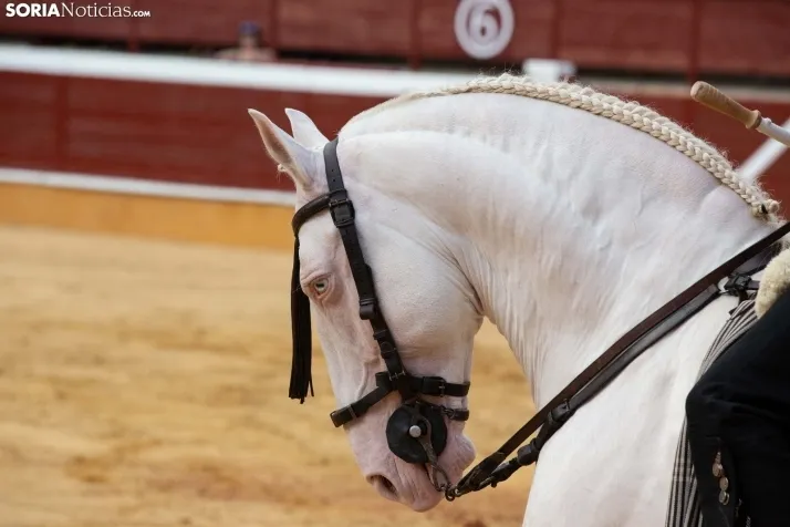 Festejo de rejones de San Juan 2022