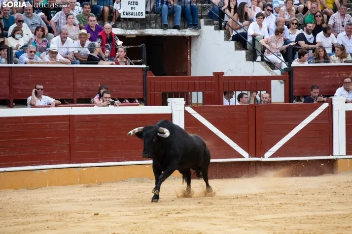 Festejo de rejones de San Juan 2022