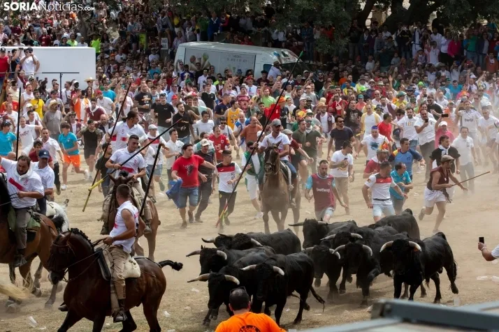 La Saca 2022
