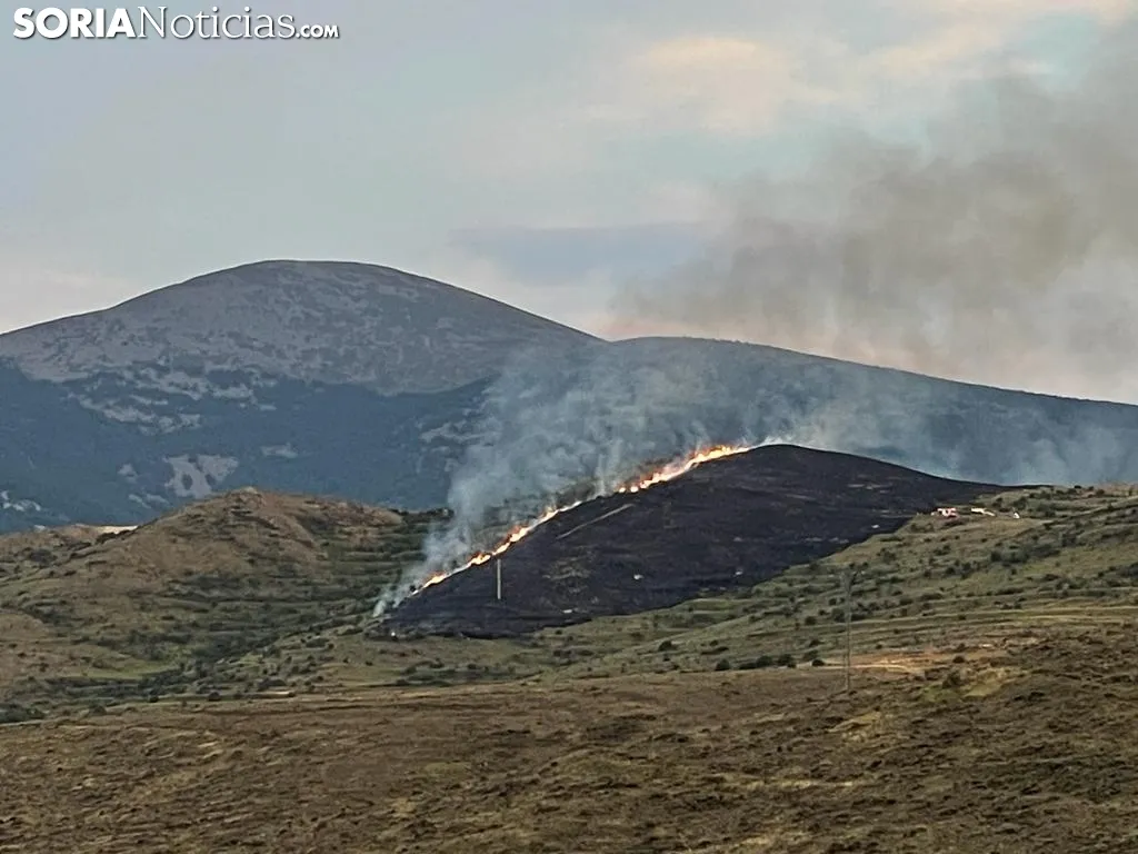 Foto 2 - &Uacute;LTIMA HORA | Incendio en las estribaciones el Moncayo
