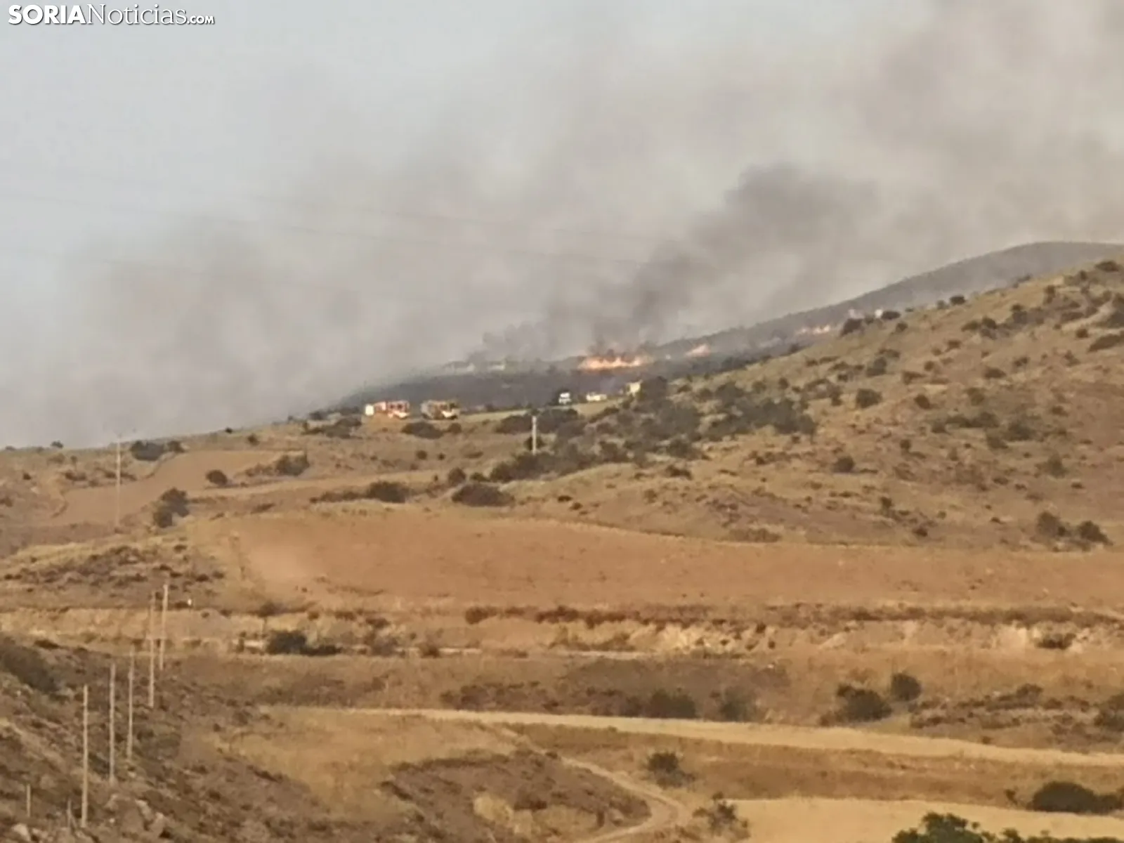 Foto 11 - &Uacute;LTIMA HORA | Incendio en las estribaciones el Moncayo