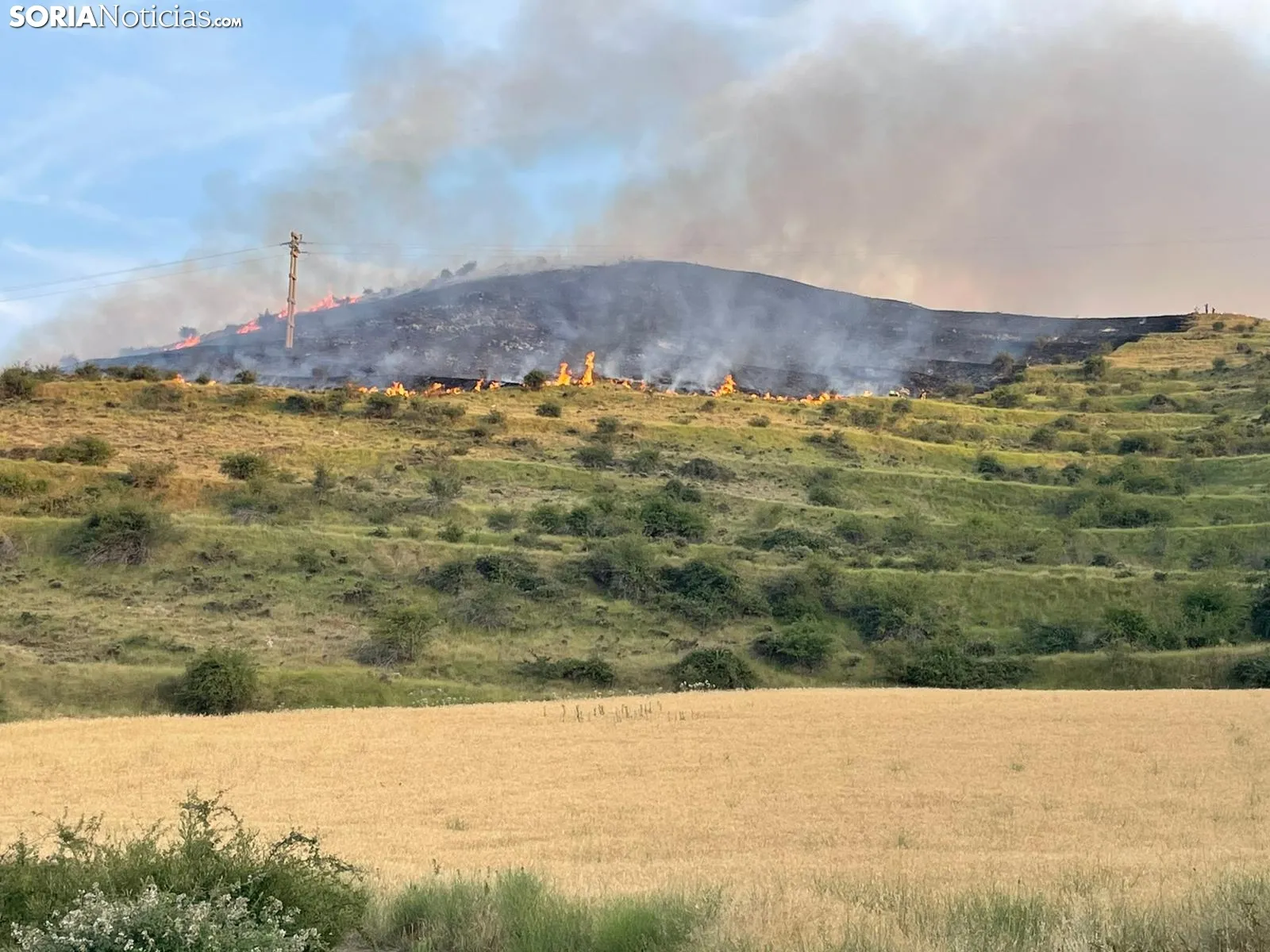 Foto 8 - &Uacute;LTIMA HORA | Incendio en las estribaciones el Moncayo