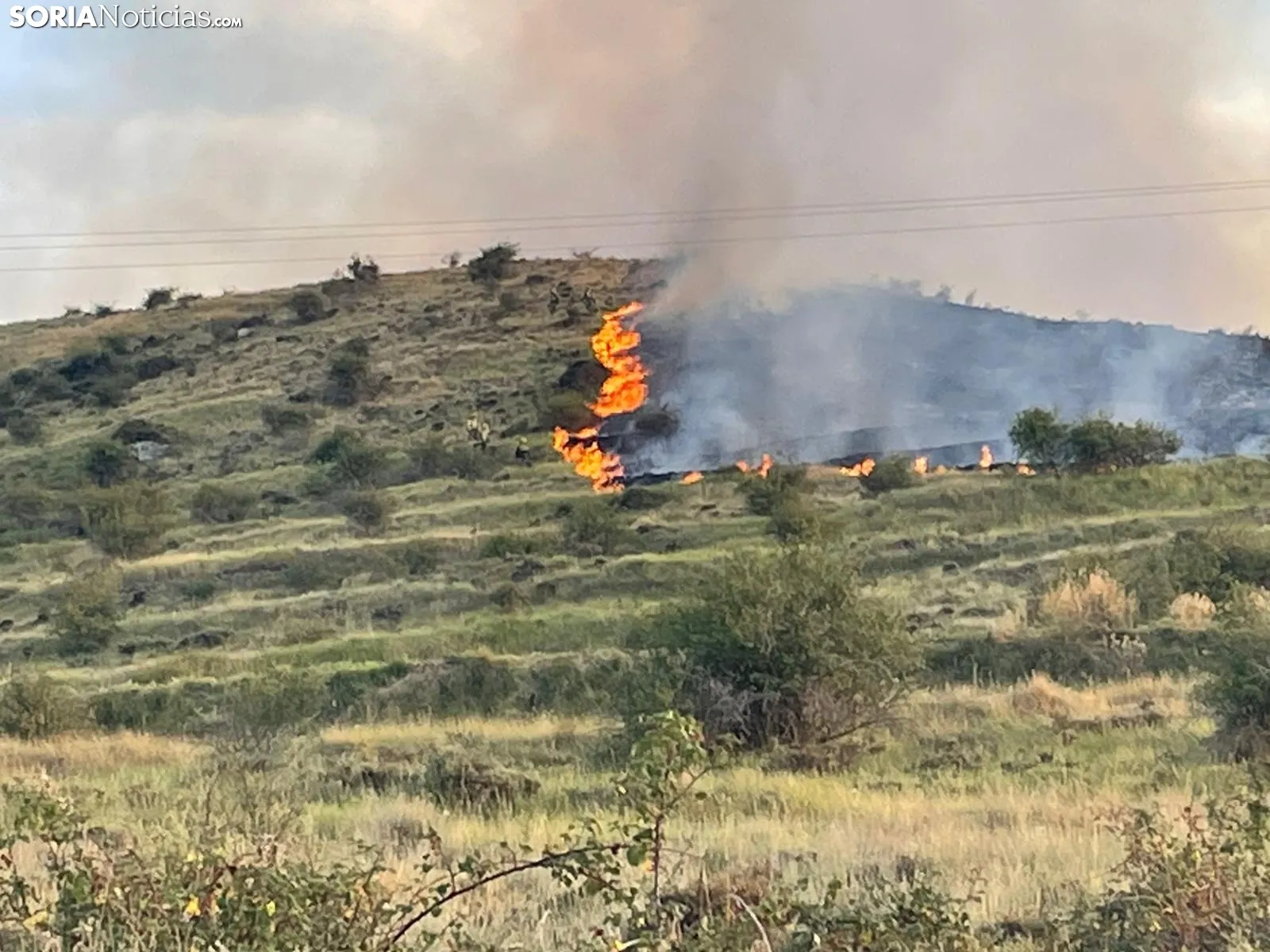 Foto 9 - &Uacute;LTIMA HORA | Incendio en las estribaciones el Moncayo