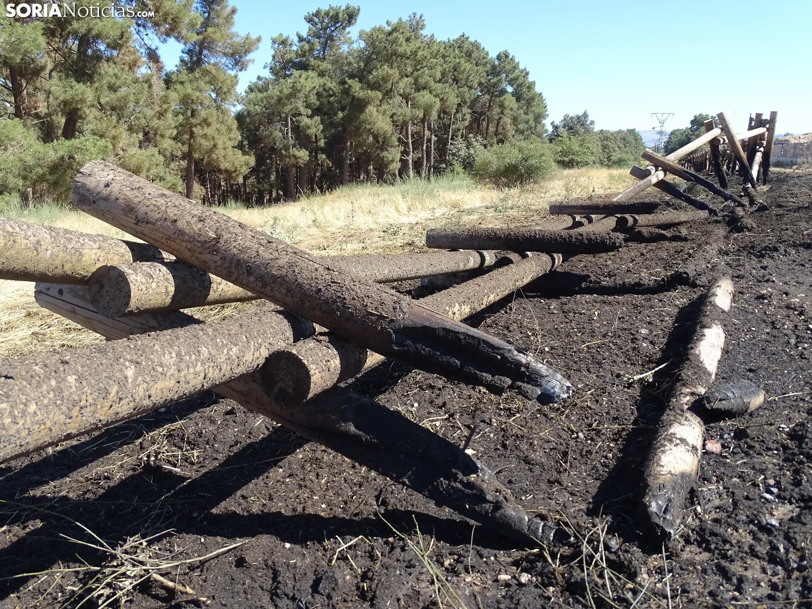 Una imagen de los restos del incendio. /SN