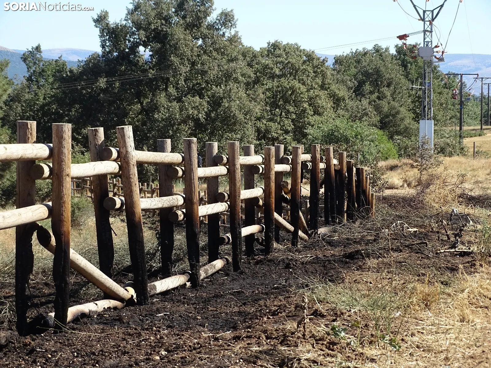 Una imagen de los restos del incendio. /SN