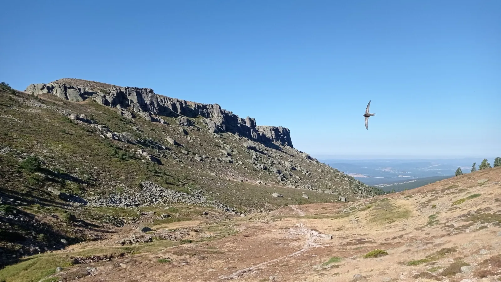 Imágenes del Duero cuando nace. /@meteoduruelo