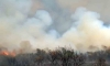 Foto 1 - Las labores de 669 profesionales permiten bajar a Nivel 1 el incendio forestal de Losacio, en Zamora