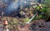 Foto 1 - Avances en la consolidación, estabilización y profesionalización del operativo contra incendios forestales