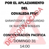 Foto 1 - Suspendida la concentración para pedir el aplazamiento del Covaleda Fest