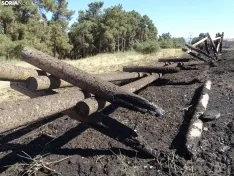 Una imagen de los restos del incendio. /SN