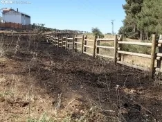 Una imagen de los restos del incendio. /SN