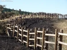 Una imagen de los restos del incendio. /SN