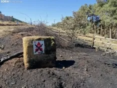 Una imagen de los restos del incendio. /SN