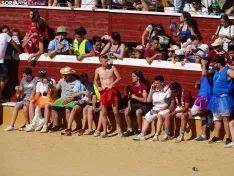 La tarde del Viernes de Toros 2022. /SN