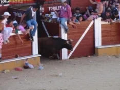 Imagen del vespertino Viernes de Toros 2022. /SN